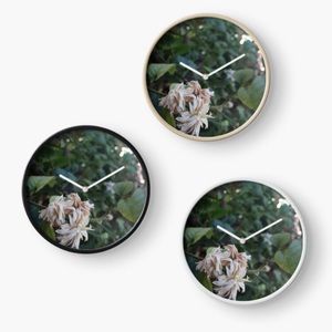 Wilted flower collection